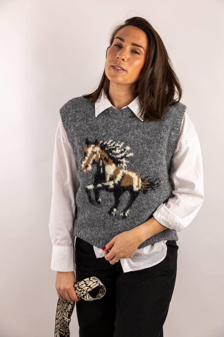 Pull APACHE sans manches