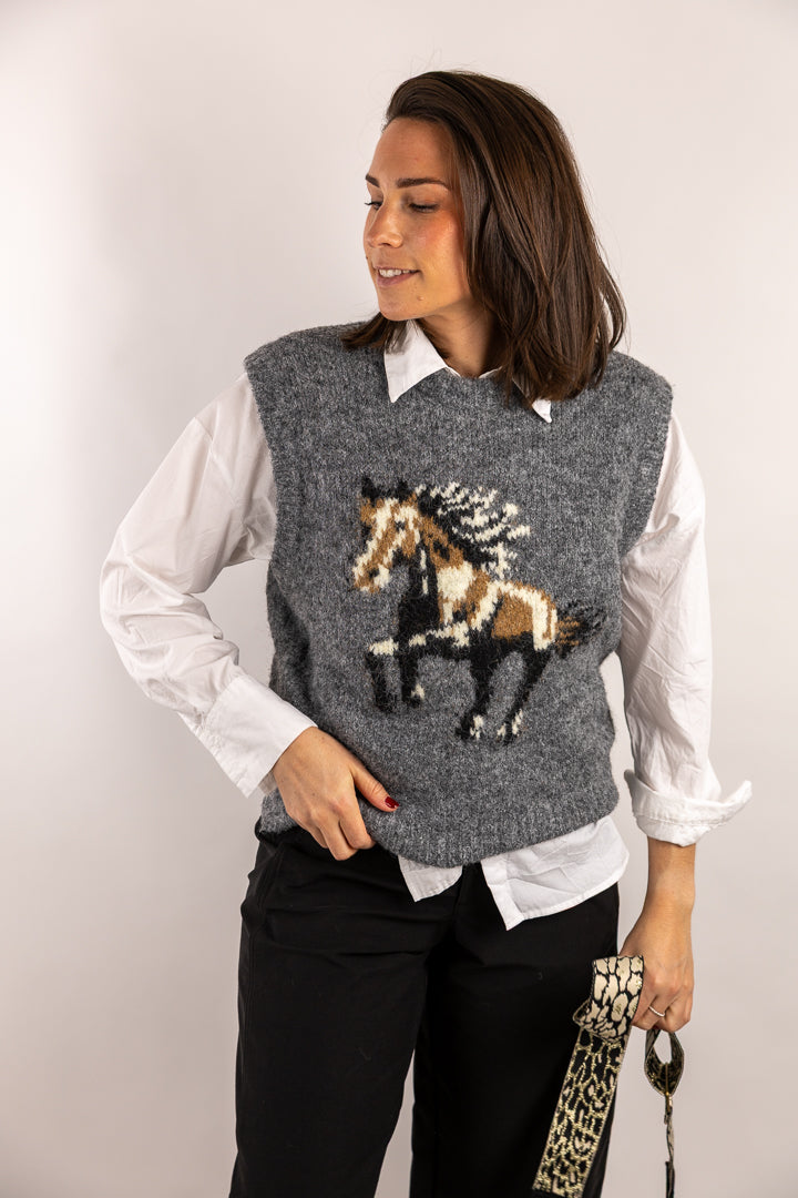 Pull APACHE sans manches