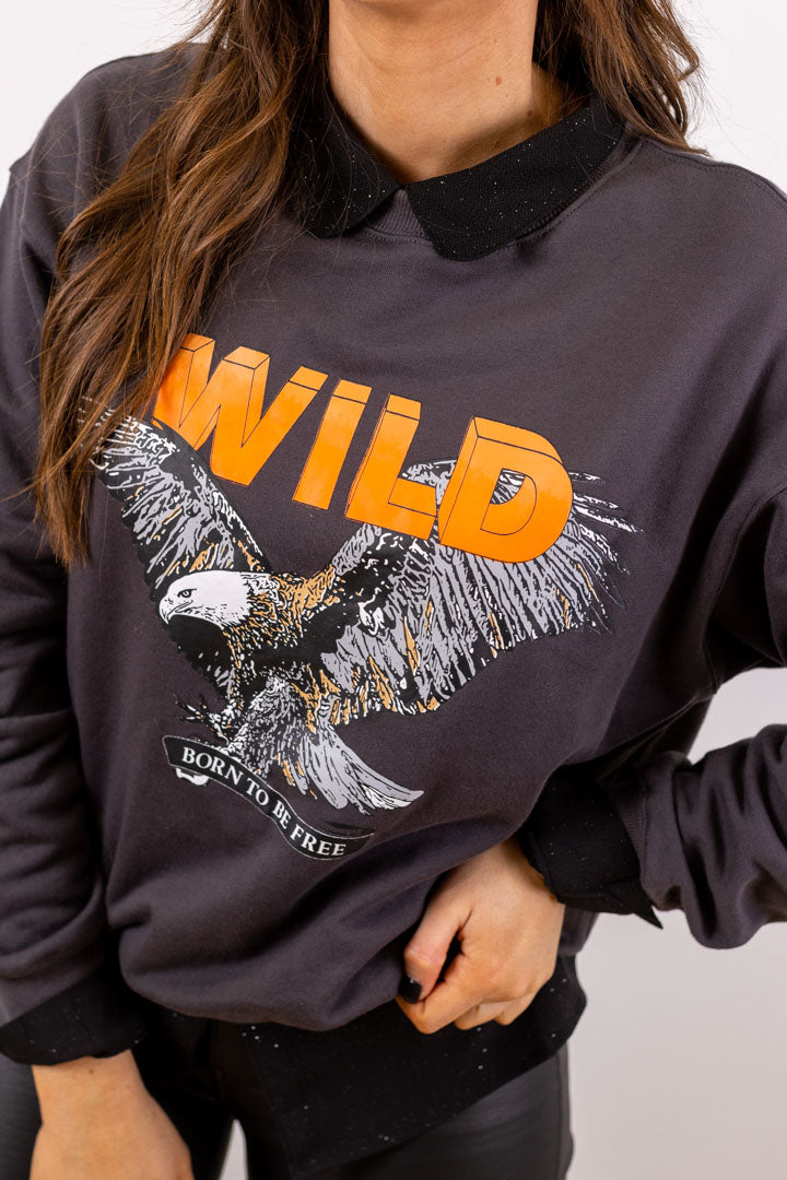 Pull / sweat WILD gris