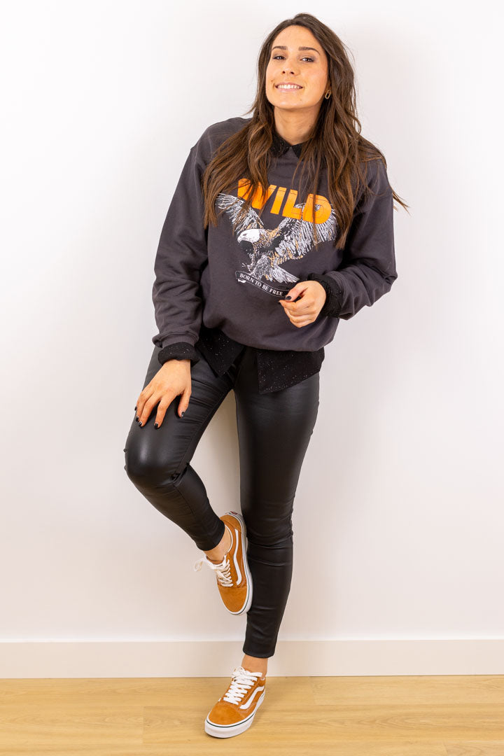 Pull / sweat WILD gris