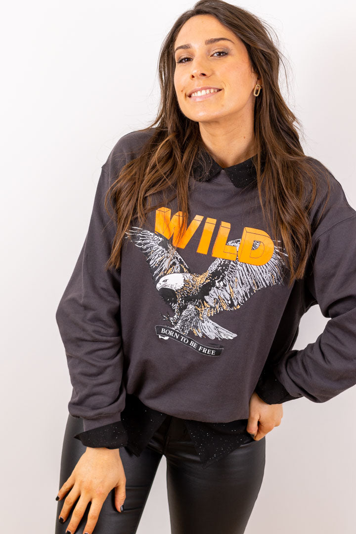 Pull / sweat WILD gris