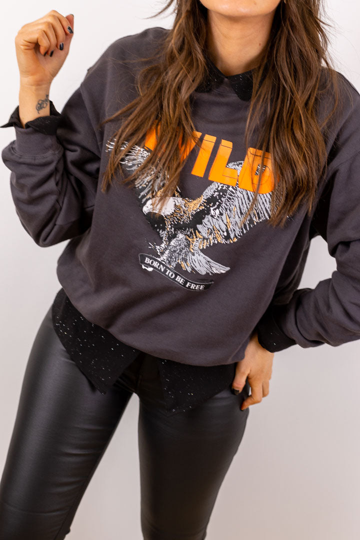 Pull / sweat WILD gris